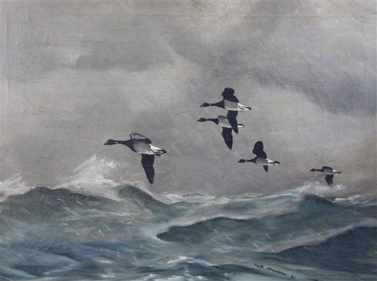 § Keith Shackleton (1923-) Geese in flight over the sea, 20 x 27in.